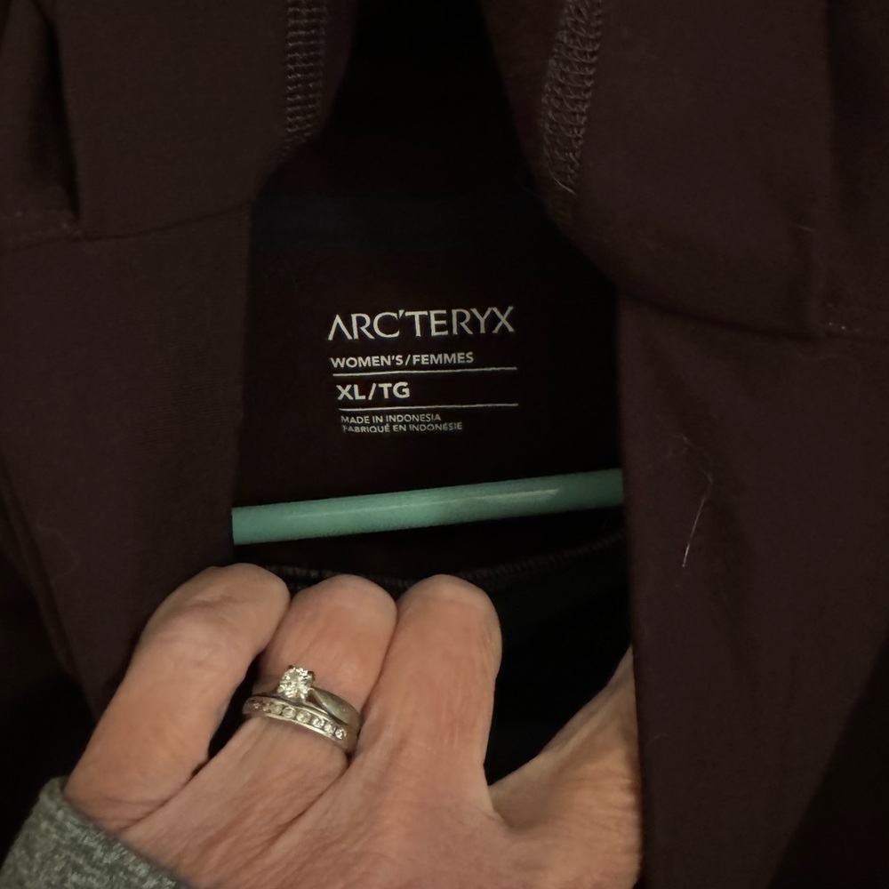 Arc’Teryx  RHO base layer hoodie